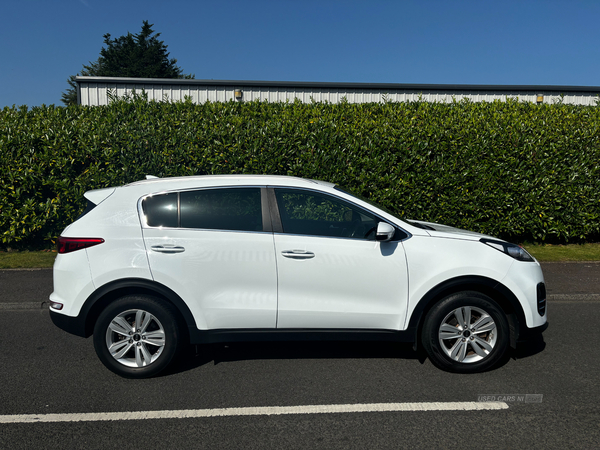 Kia Sportage ESTATE in Antrim