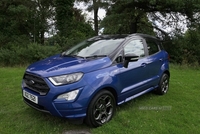 Ford EcoSport 1.5 EcoBlue ST-Line Euro 6 (s/s) 5dr in Down