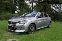 Peugeot 208 1.2 PureTech Active Premium Euro 6 (s/s) 5dr in Down