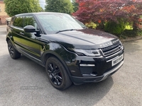 Land Rover Range Rover Evoque DIESEL HATCHBACK in Tyrone