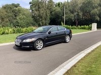 Jaguar XF DIESEL SALOON in Armagh