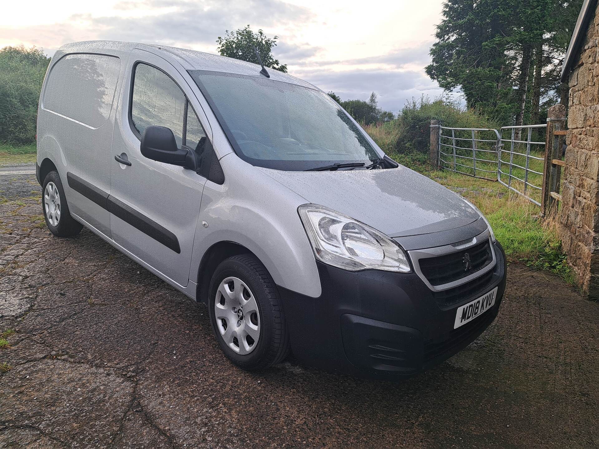 Jun 2018 Peugeot Partner 850 1.6 BlueHDi 100 Professional Van [non SS]