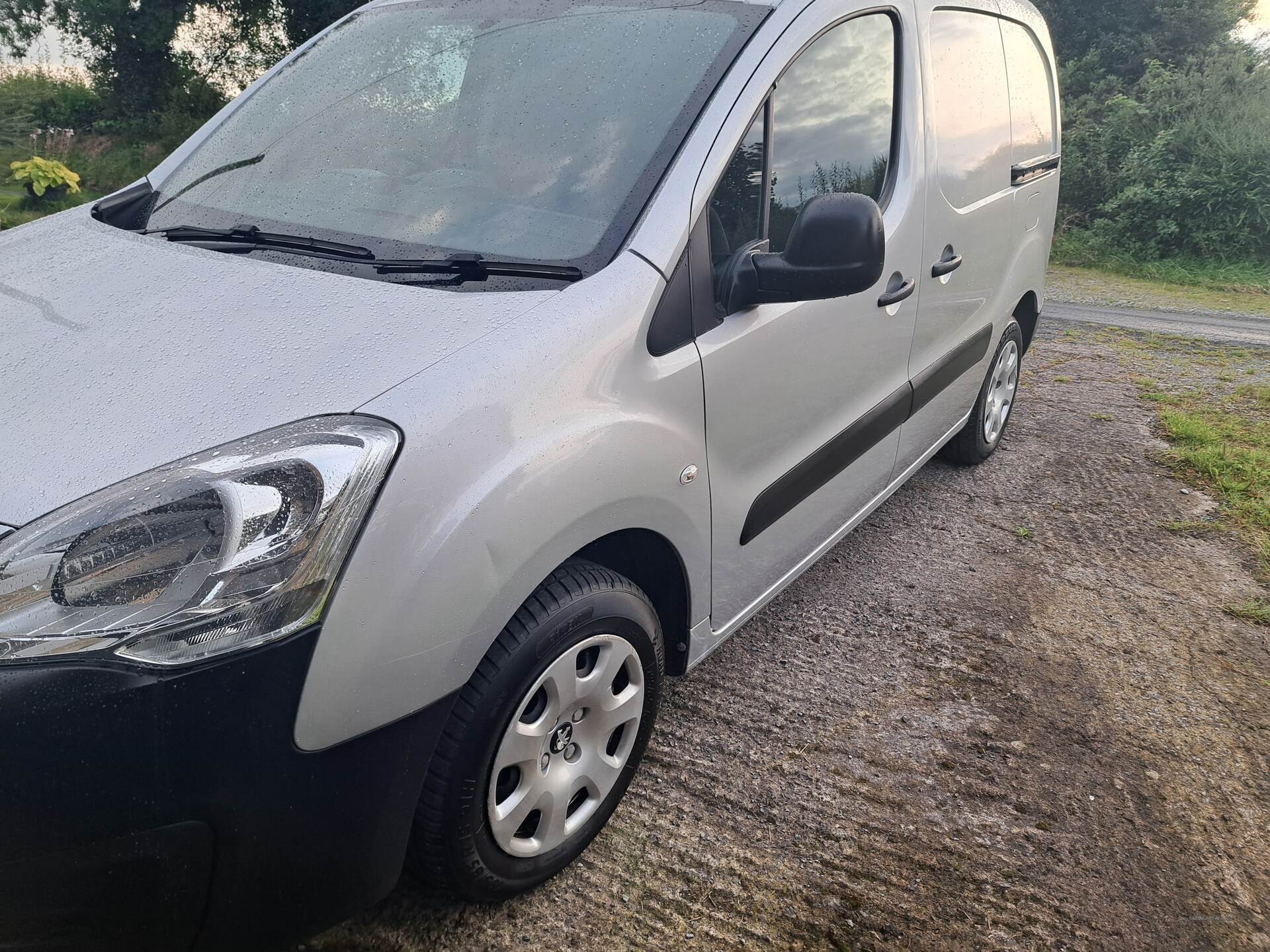 Jun 2018 Peugeot Partner 850 1.6 BlueHDi 100 Professional Van [non SS]