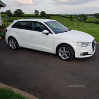 Audi A3 30 TDI 116 Sport 5dr in Tyrone