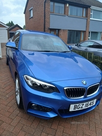 BMW 2 Series 220i M Sport 2dr in Antrim