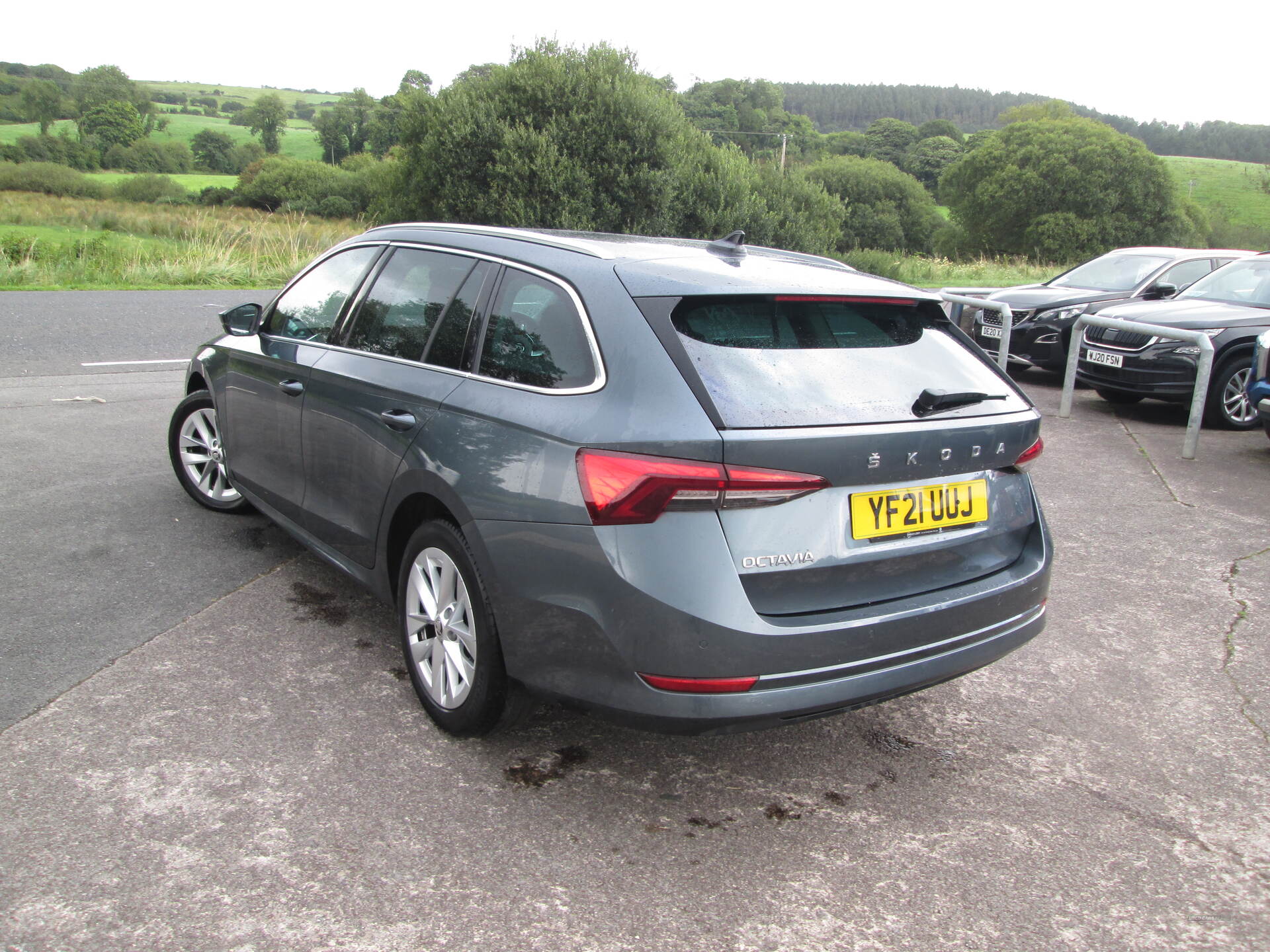 Skoda Octavia DIESEL ESTATE in Fermanagh