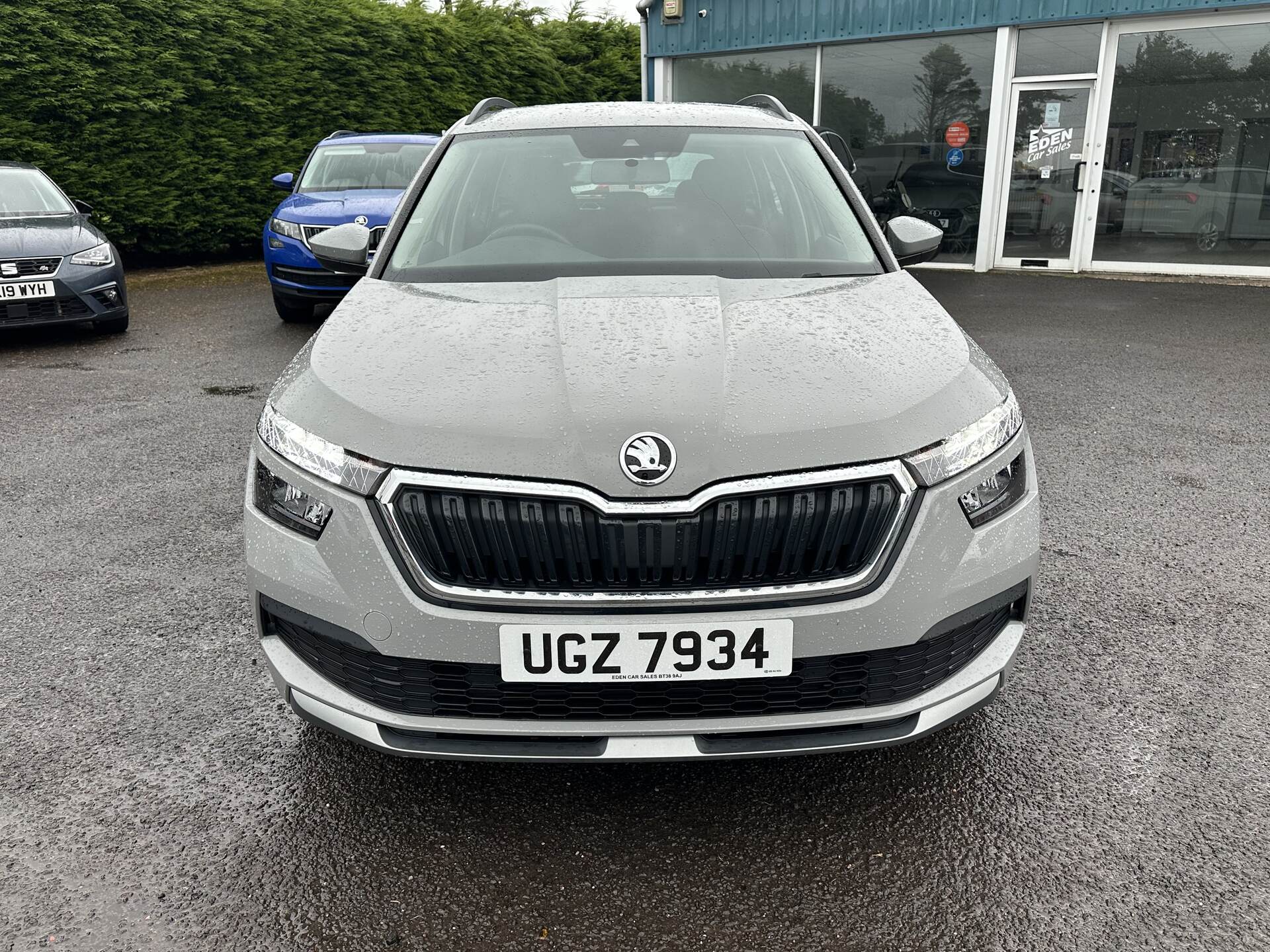 Skoda Kamiq HATCHBACK in Antrim