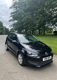 Volkswagen Polo HATCHBACK in Tyrone