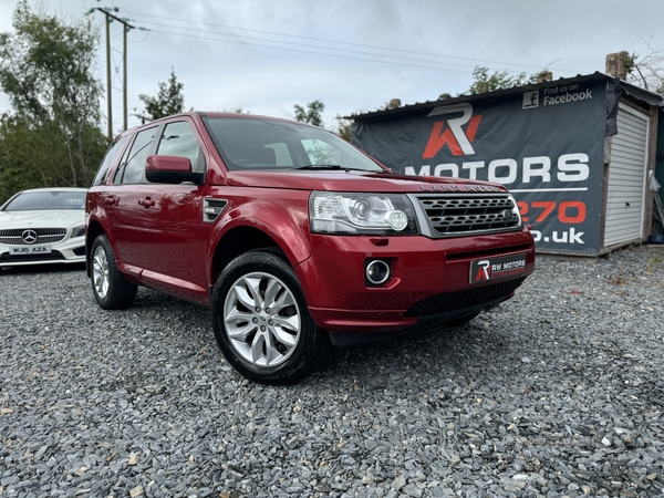 Land Rover Freelander DIESEL SW in Armagh