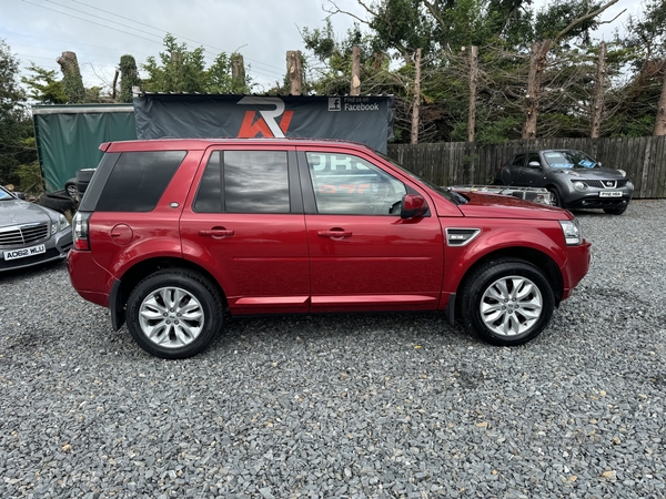 Land Rover Freelander DIESEL SW in Armagh