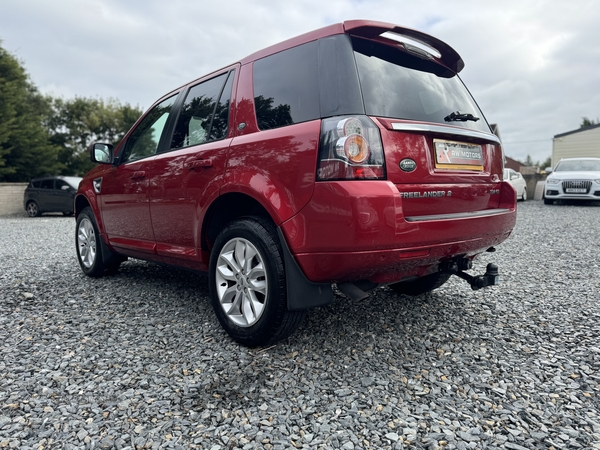 Land Rover Freelander DIESEL SW in Armagh