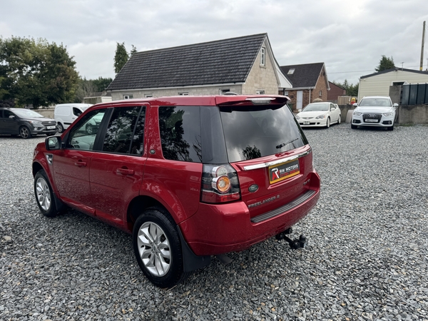 Land Rover Freelander DIESEL SW in Armagh