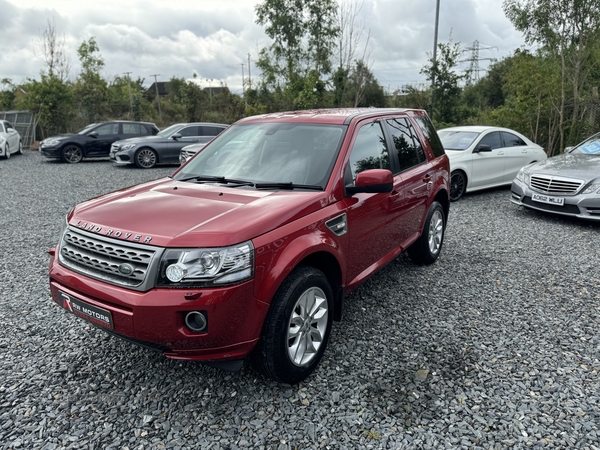 Land Rover Freelander DIESEL SW in Armagh