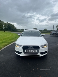 Audi A4 2.0 TDI Ultra 163 SE Technik 4dr in Fermanagh