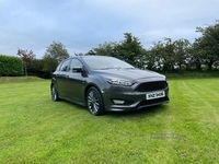 Ford Focus 1.5 TDCi 120 ST-Line 5dr in Down