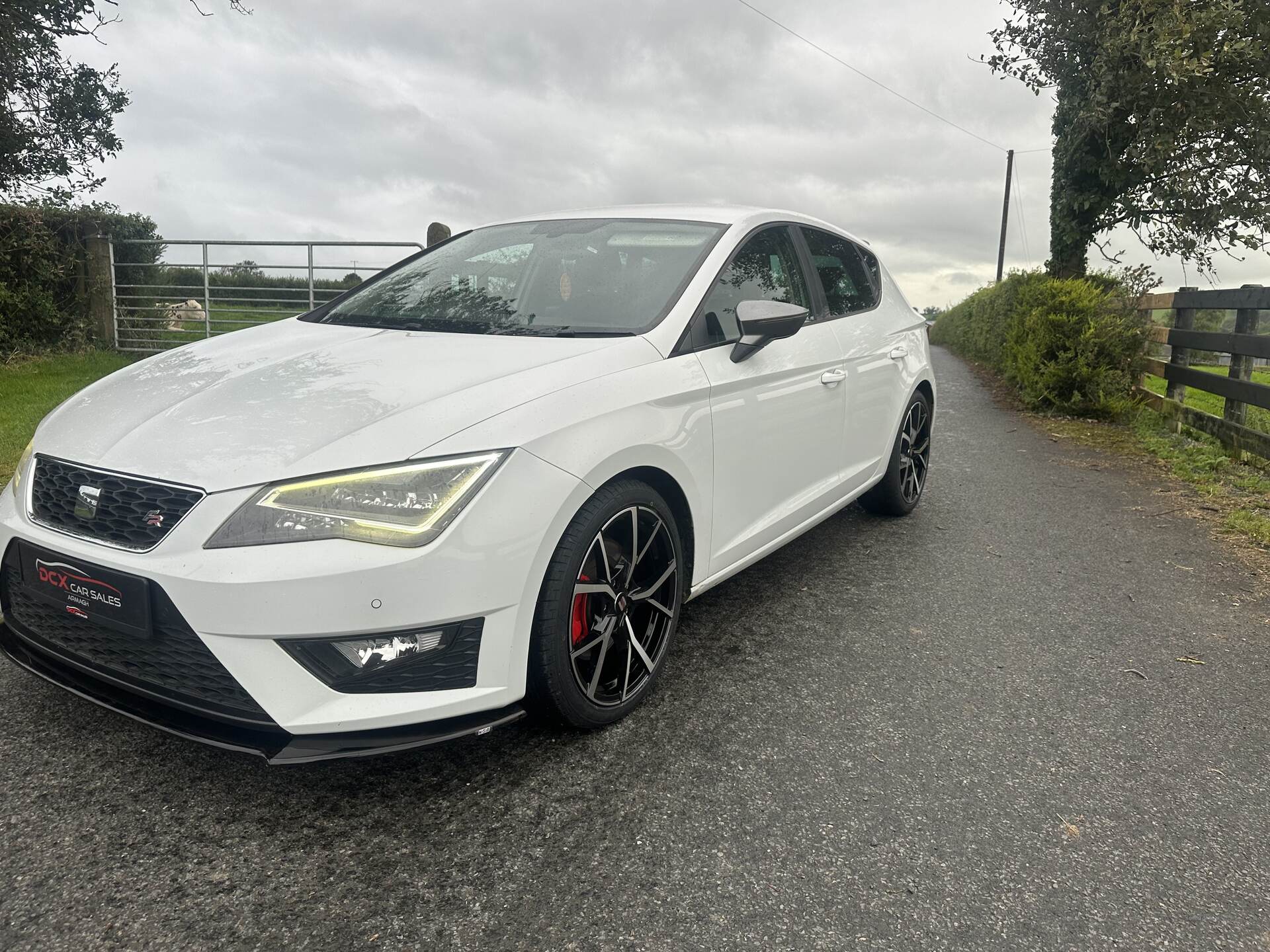 Seat Leon DIESEL HATCHBACK in Armagh