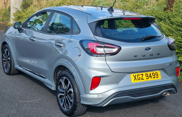 Ford Puma HATCHBACK in Armagh