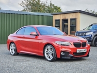 BMW 2 Series DIESEL COUPE in Antrim