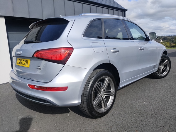 Audi Q5 ESTATE SPECIAL EDITIONS in Armagh