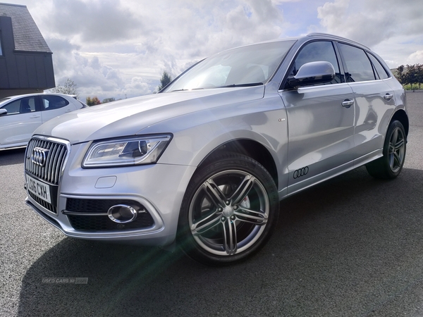 Audi Q5 ESTATE SPECIAL EDITIONS in Armagh