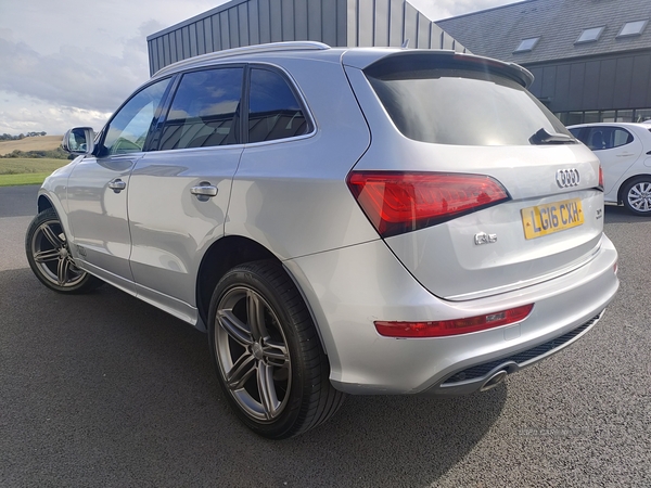 Audi Q5 ESTATE SPECIAL EDITIONS in Armagh