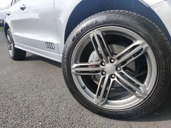 Audi Q5 ESTATE SPECIAL EDITIONS in Armagh