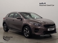 Kia XCeed 1.0 T-GDi 2 SUV 5dr Petrol Manual Euro 6 (s/s) (118 bhp) * in Down