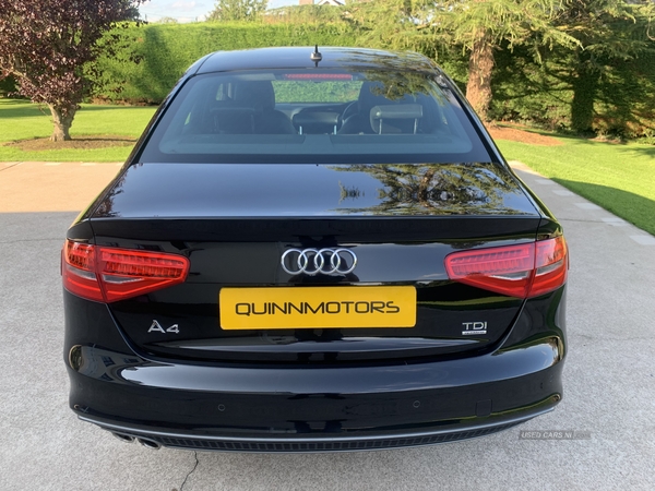 Audi A4 SALOON SPECIAL EDITIONS in Tyrone