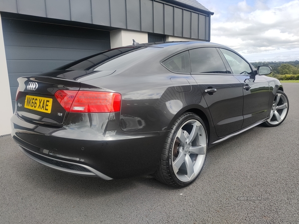 Audi A5 DIESEL SPORTBACK in Armagh