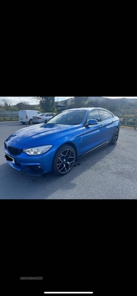 BMW 4 Series 420d xDrive M Sport 5dr in Down