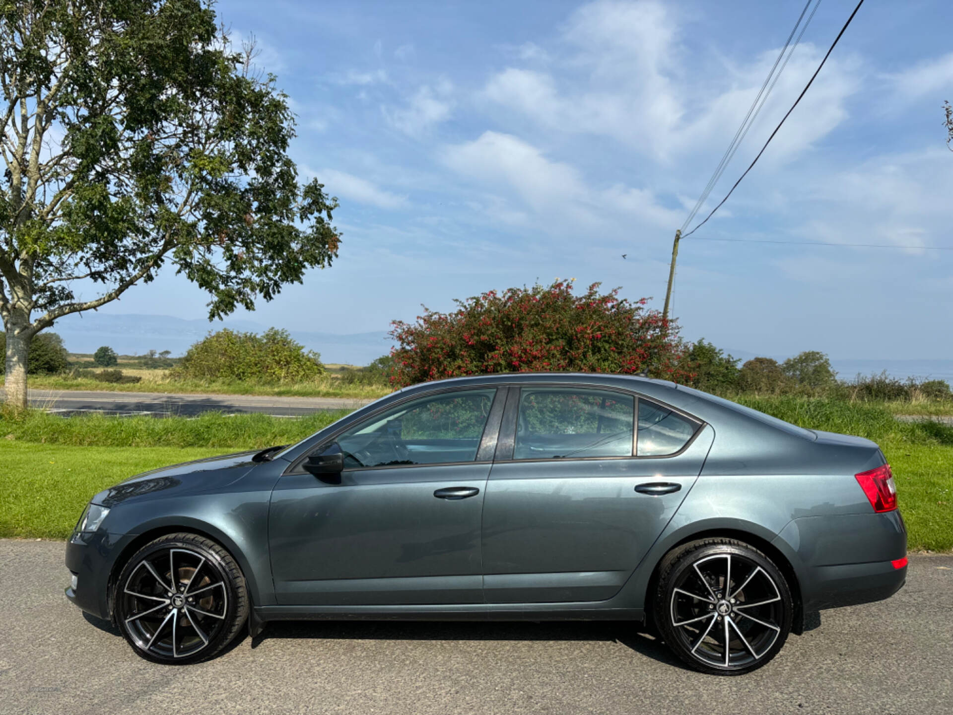 Skoda Octavia DIESEL HATCHBACK in Derry / Londonderry