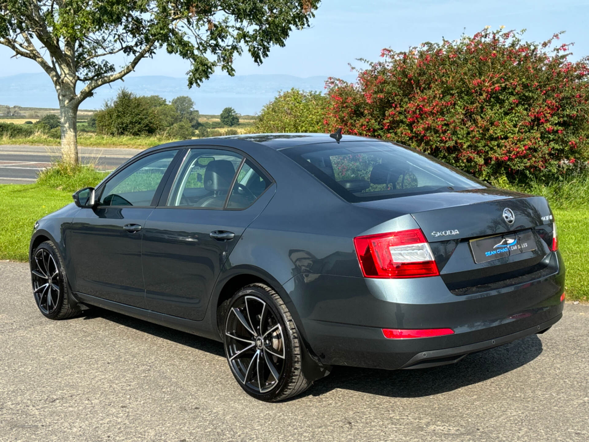 Skoda Octavia DIESEL HATCHBACK in Derry / Londonderry