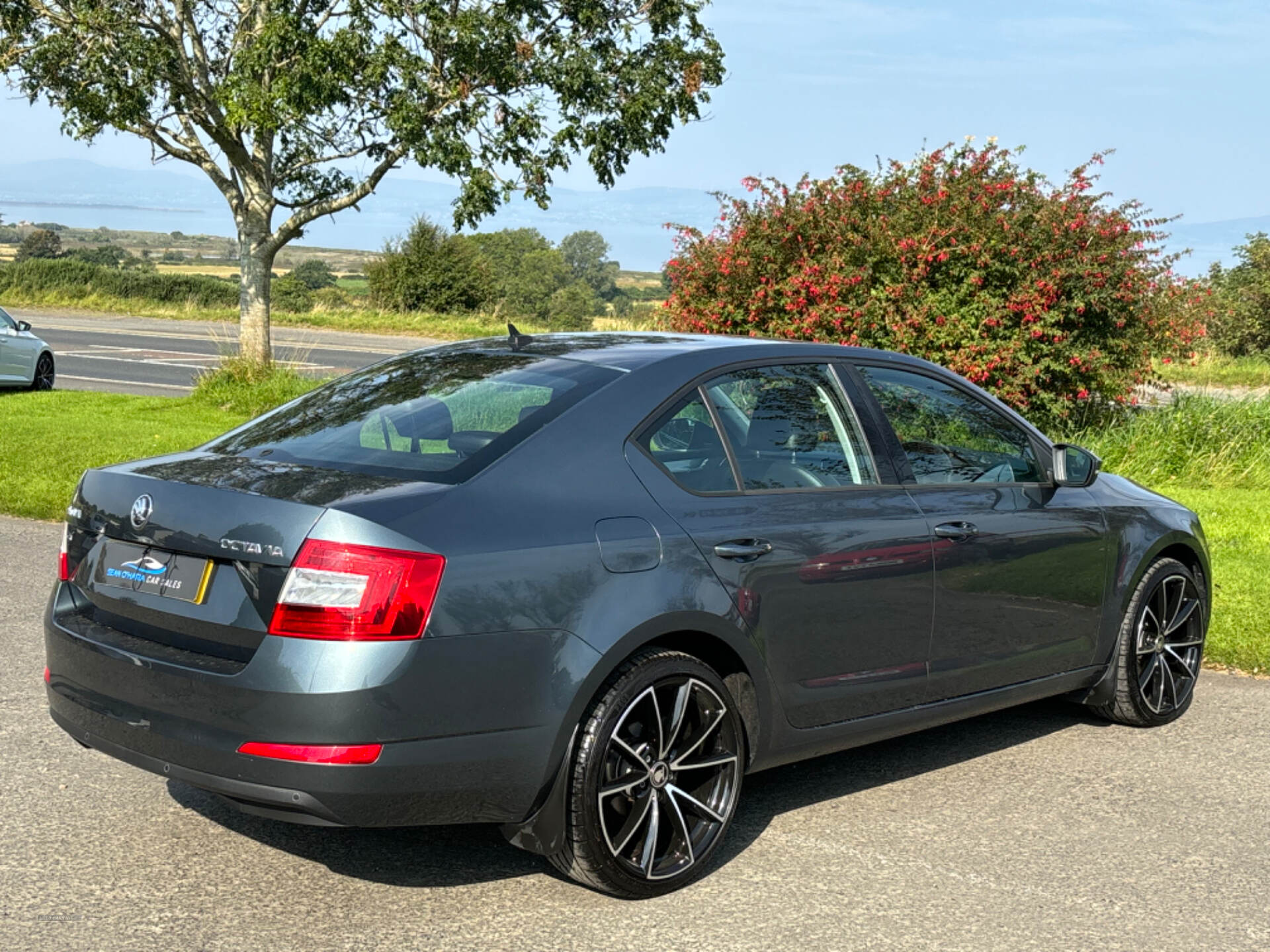 Skoda Octavia DIESEL HATCHBACK in Derry / Londonderry