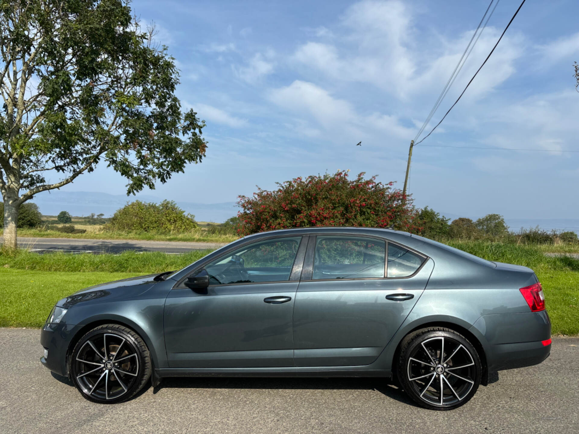 Skoda Octavia DIESEL HATCHBACK in Derry / Londonderry