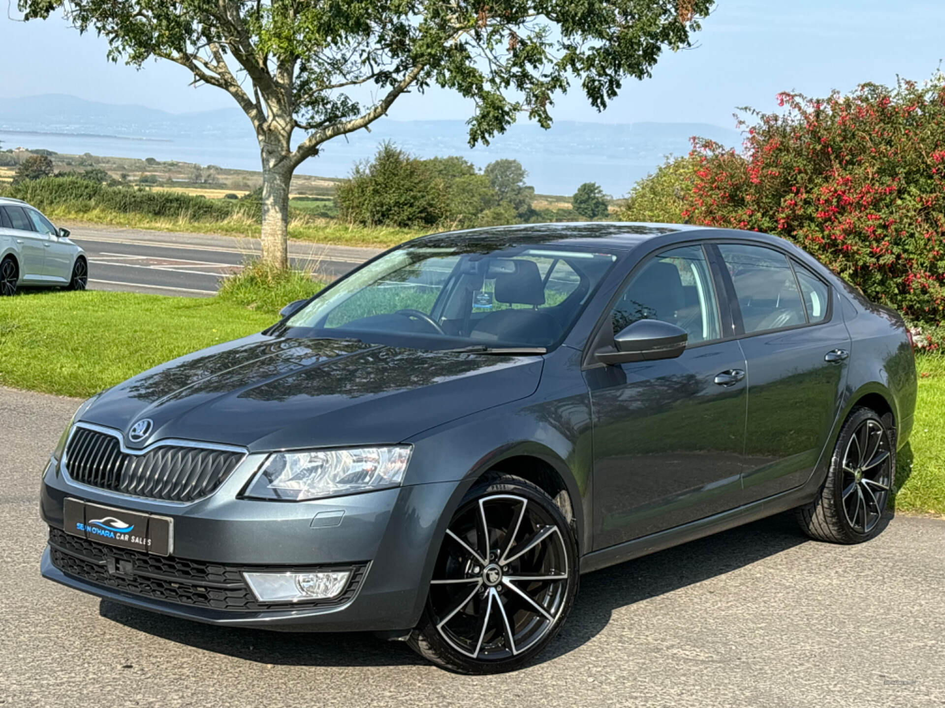 Skoda Octavia DIESEL HATCHBACK in Derry / Londonderry