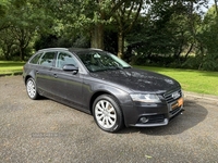 Audi A4 AVANT SPECIAL EDITIONS in Down