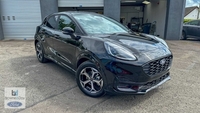 Ford Puma ST-Line 1.0L EcoBoost 125PS mHEV 6 Speed Manual 5 Door in Derry / Londonderry