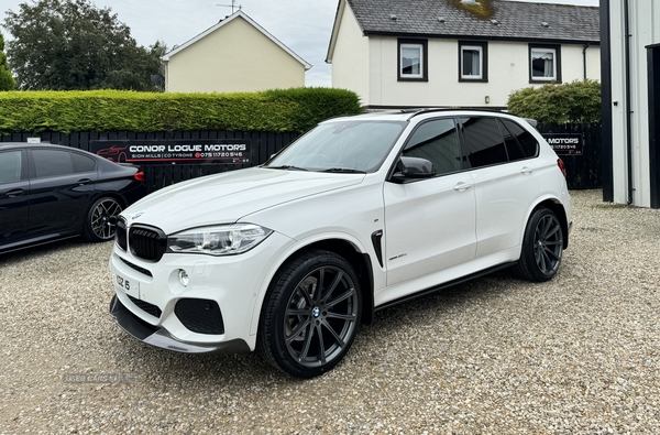 BMW X5 DIESEL ESTATE in Tyrone