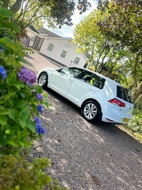 Volkswagen Golf 2.0 TDI SE 5dr in Tyrone