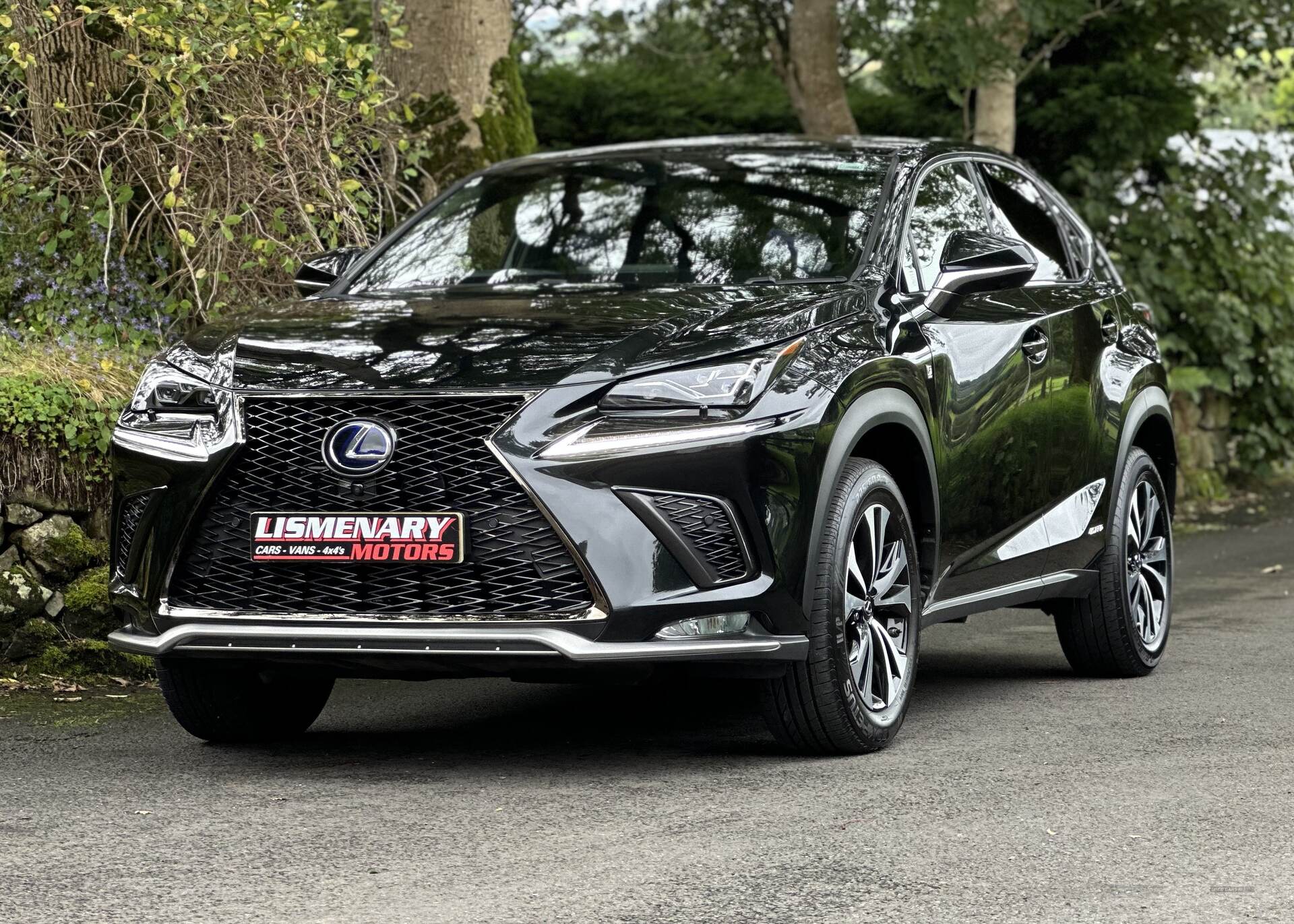 Lexus NX-Series 300h 2.5 F-Sport 5dr CVT [Premium Pack/Leather] in Antrim