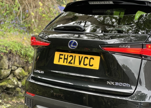 Lexus NX-Series 300h 2.5 F-Sport 5dr CVT [Premium Pack/Leather] in Antrim