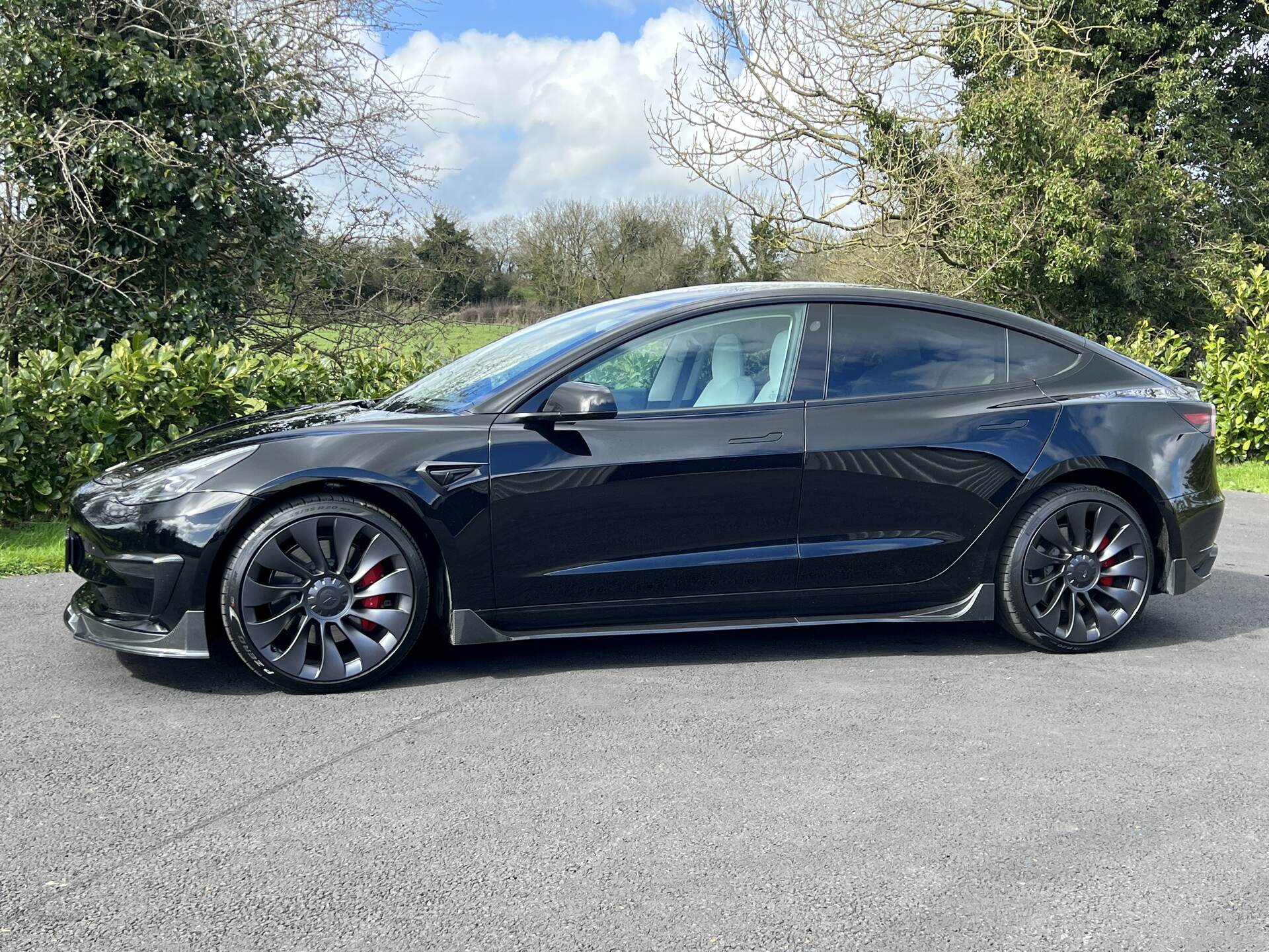 TESLA Model 3 SALOON in Down