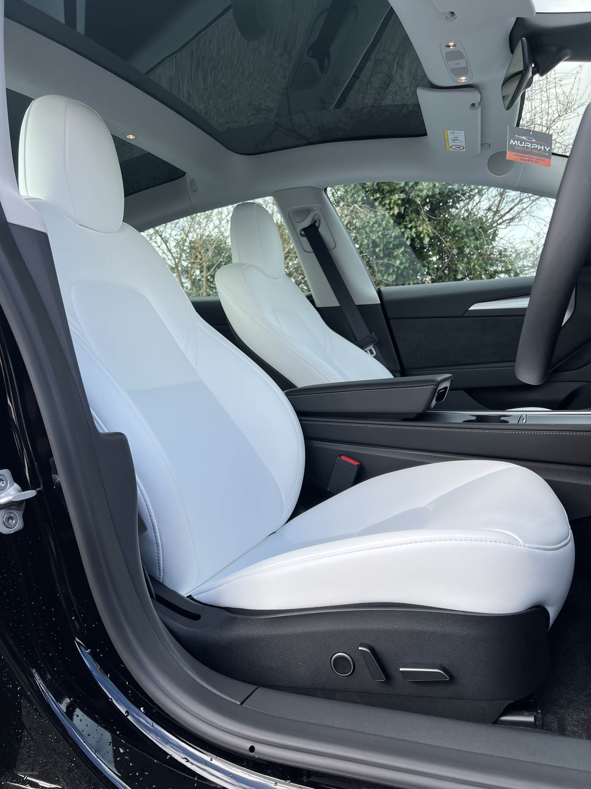 TESLA Model 3 SALOON in Down