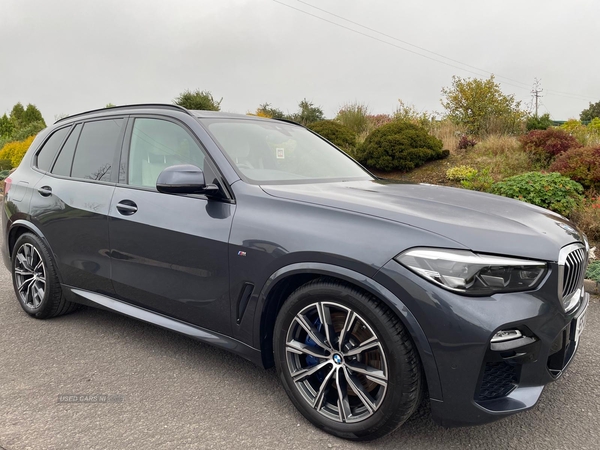 BMW X5 ESTATE in Tyrone