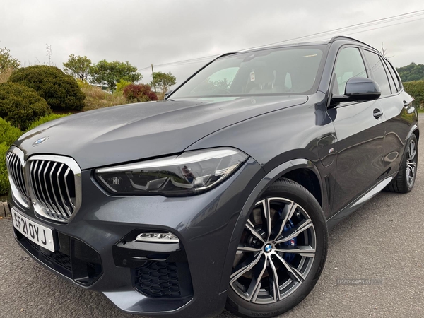 BMW X5 ESTATE in Tyrone