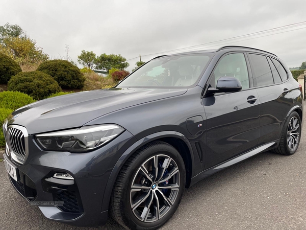 BMW X5 ESTATE in Tyrone