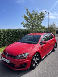 Volkswagen Golf HATCHBACK in Down