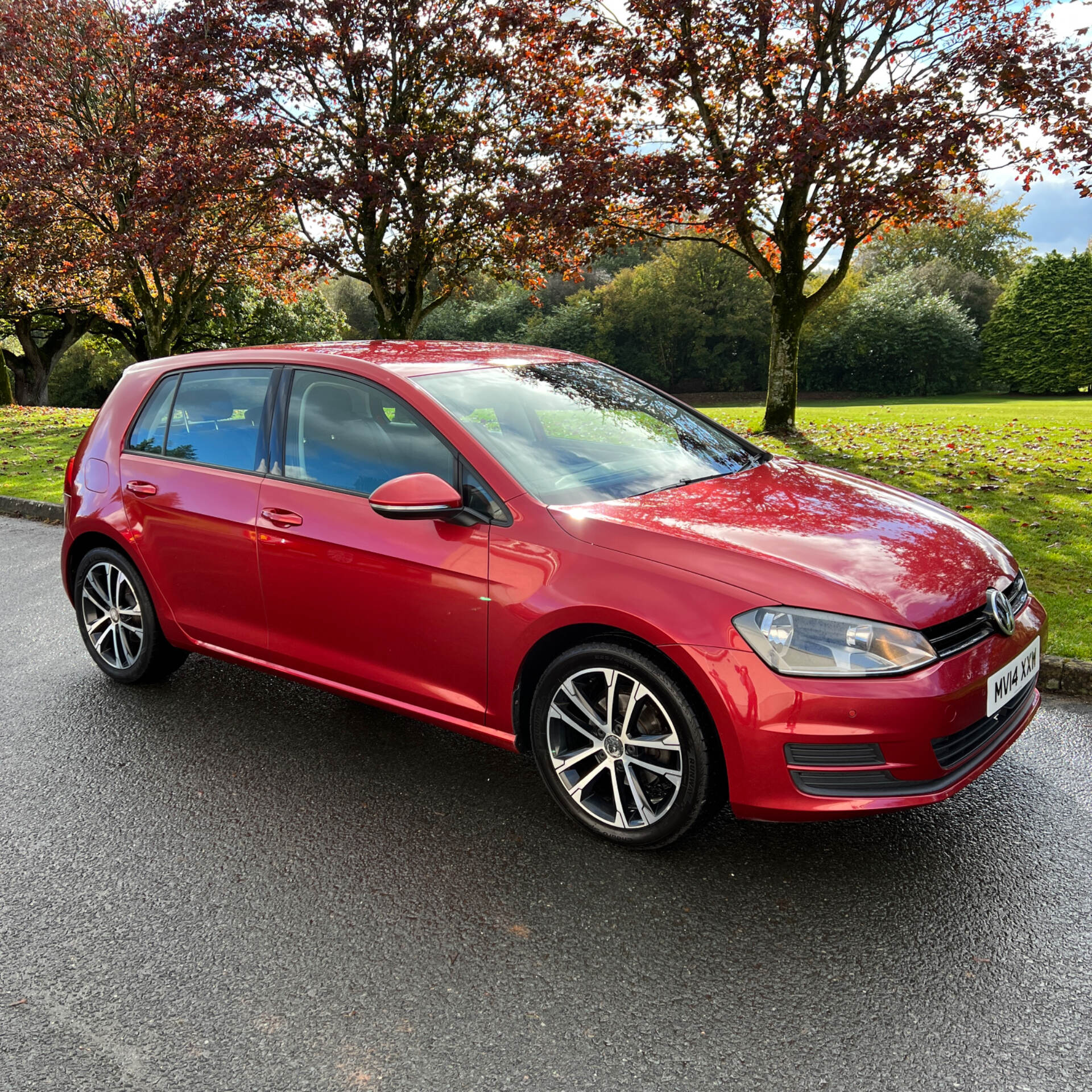 Volkswagen Golf DIESEL HATCHBACK in Tyrone