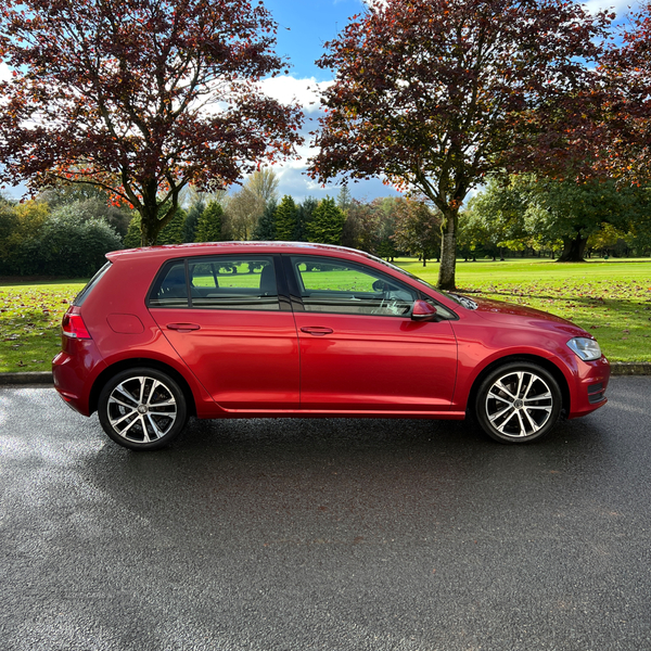 Volkswagen Golf DIESEL HATCHBACK in Tyrone