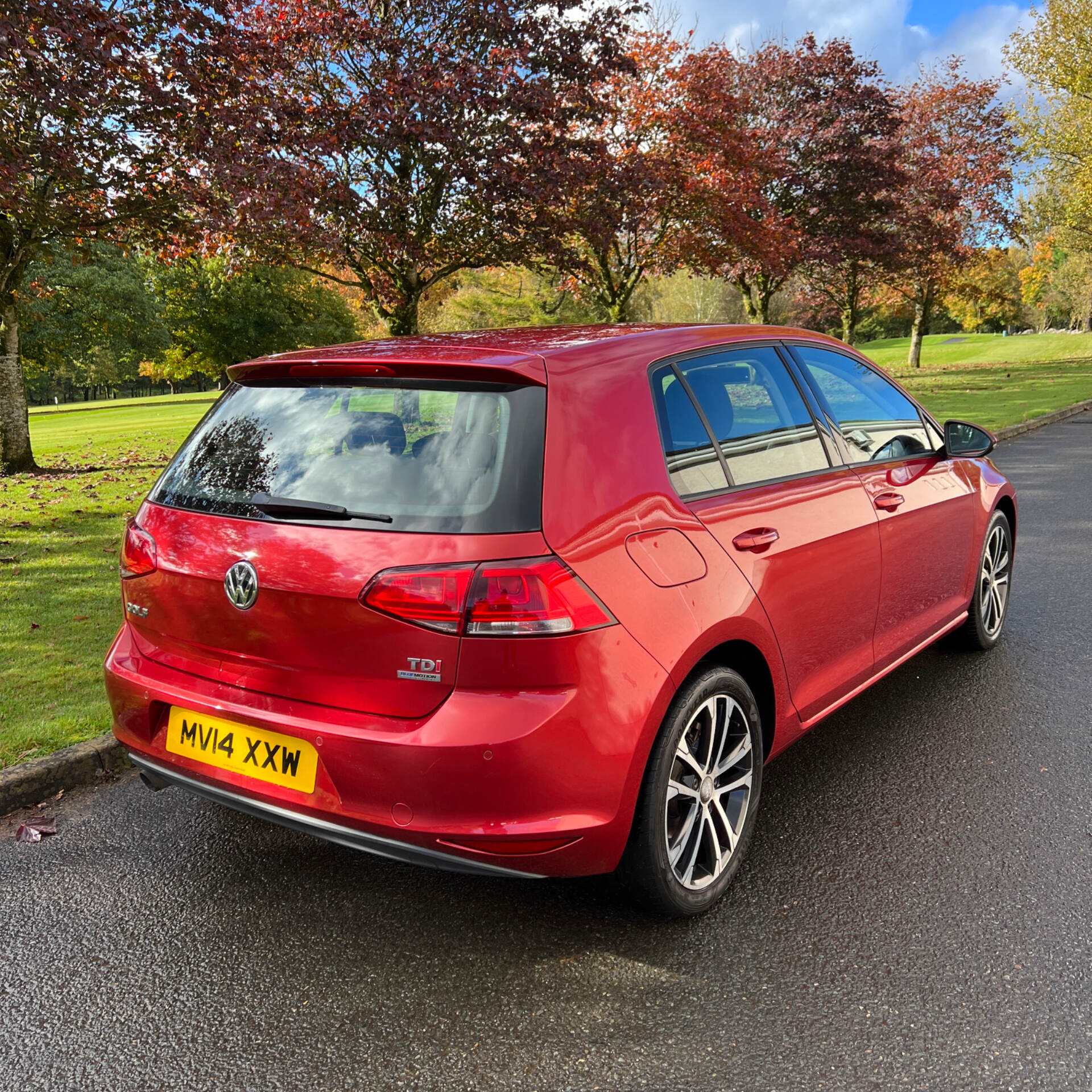 Volkswagen Golf DIESEL HATCHBACK in Tyrone